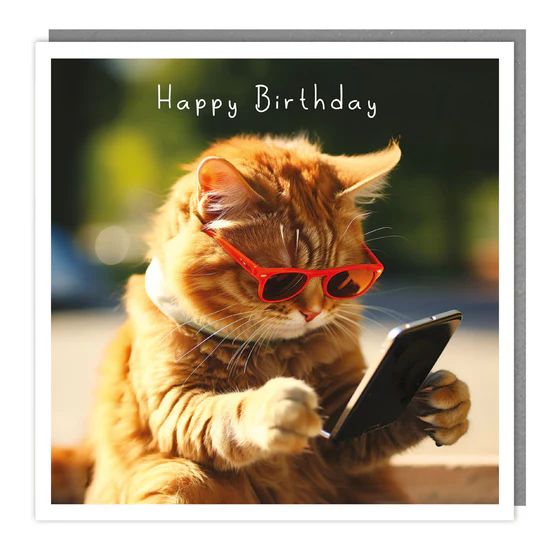 Phone Kitty Photographic Birthday Card