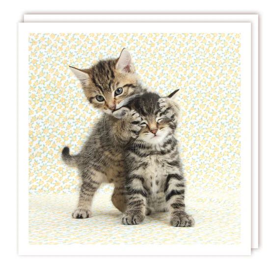 Tabby Kittens Photographic Card
