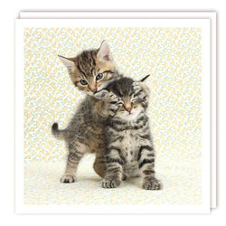 Tabby Kittens Photographic Card