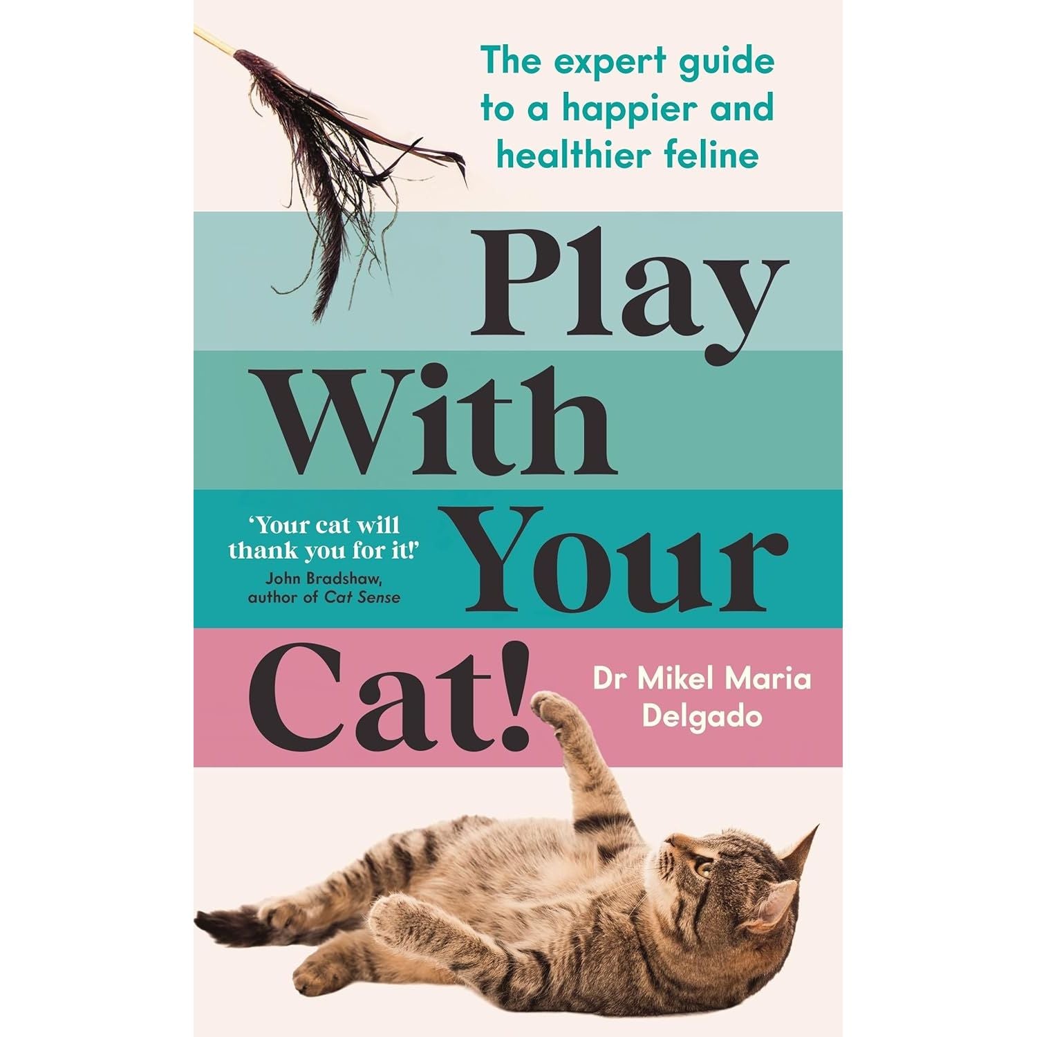 Play with Your Cat