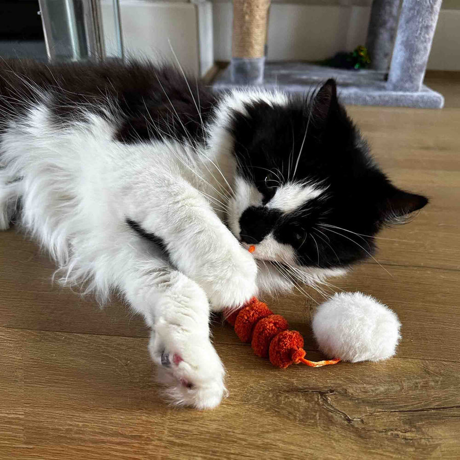 Pom Pom Caterpillar Cat Toys