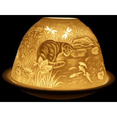 池塘发光圆顶旁的猫