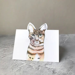 Pop-up Cat Greetings Card