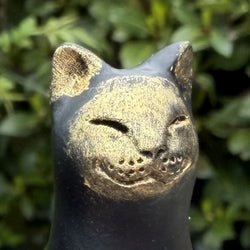 Posh Paws Black Cat