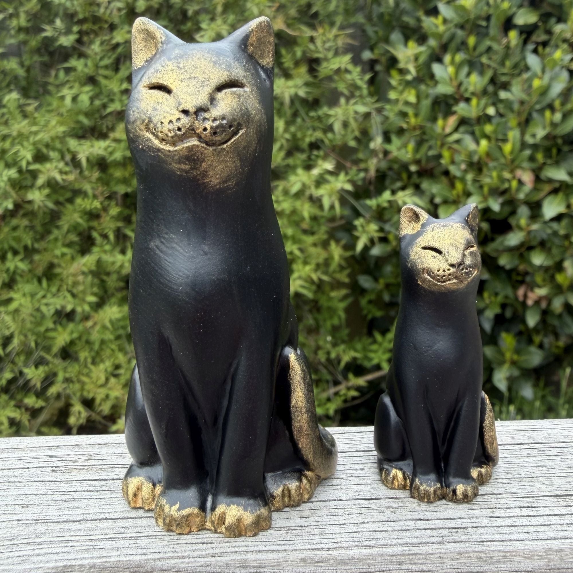 Posh Paws Black Cat
