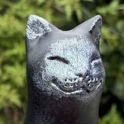 Posh Paws Black Cat