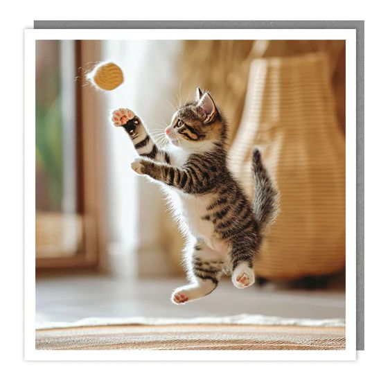 Pounce Kitty Photographic Card
