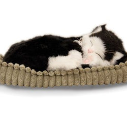 Tuxedo Cat by Precious Petzzz