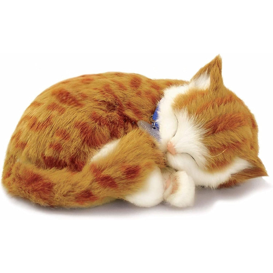 Ginger Tabby Cat by Precious Petzzz