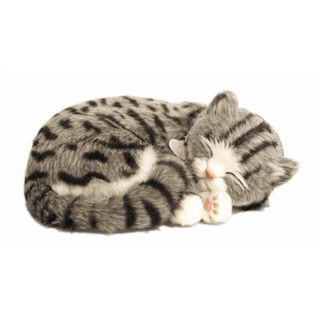 Tabby Cat by Precious Petzzz