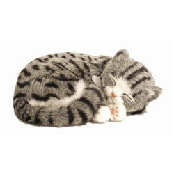 Tabby Cat by Precious Petzzz