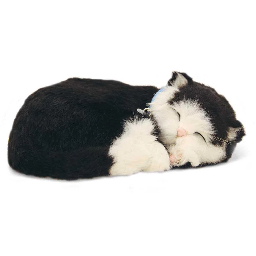 Tuxedo Cat by Precious Petzzz
