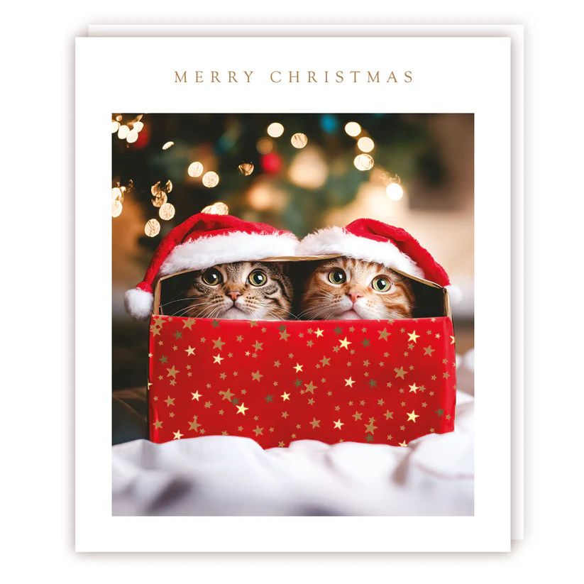 Present Kitties Christmas Card