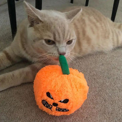 Pumpkin Catnip Cat Toy