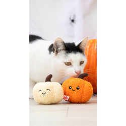 A black-and-white cat looks at two plush pumpkin toys on a light floor, with a real pumpkin and a white wall in the background.