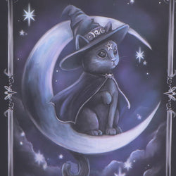 Cat in a witch hat sitting on a crescent moon with stars in the background