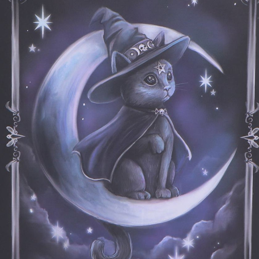 Cat in a witch hat sitting on a crescent moon with stars in the background
