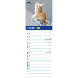 Calendar page for February 2027 featuring a cute ginger kitten on a grey background with RSPCA branding and room to note daily engagements below.