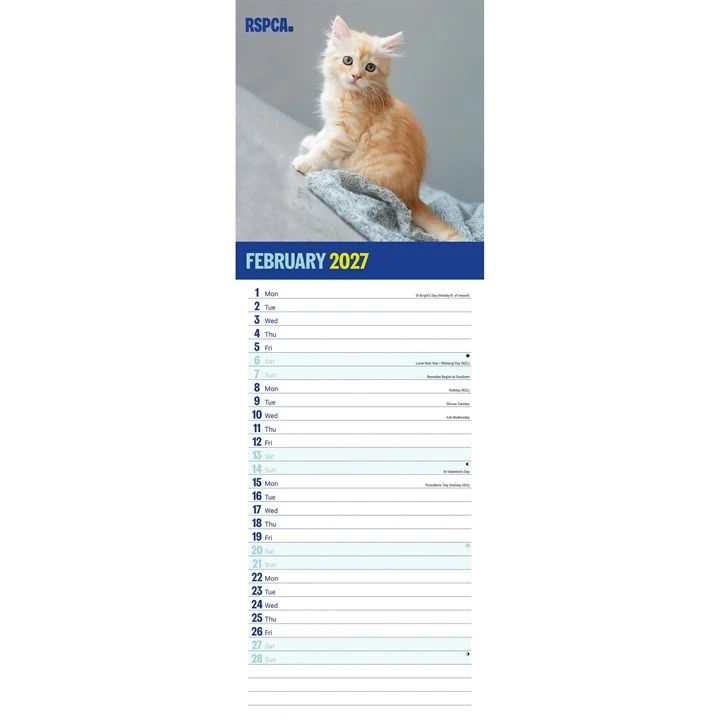 Calendar page for February 2027 featuring a cute ginger kitten on a grey background with RSPCA branding and room to note daily engagements below.