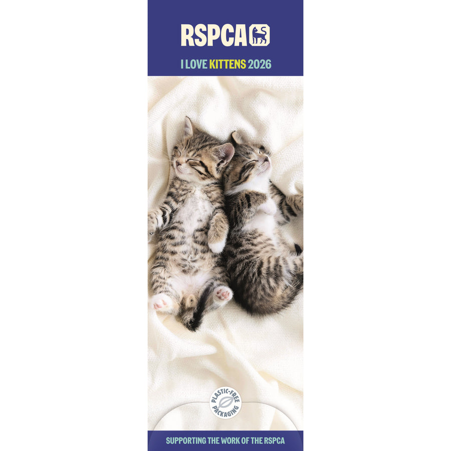 I Love Kittens RSPCA 2026 Slimline Calendar