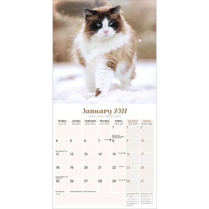 Ragdoll Cats 2027 Wall Calendar