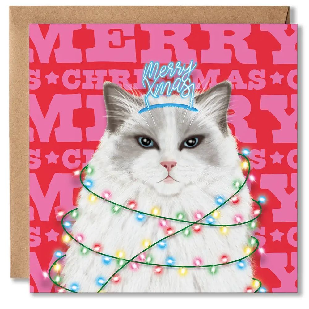 Ragdoll Cat Merry Christmas Card