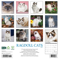 Ragdoll Cats 2025 Wall Calendar