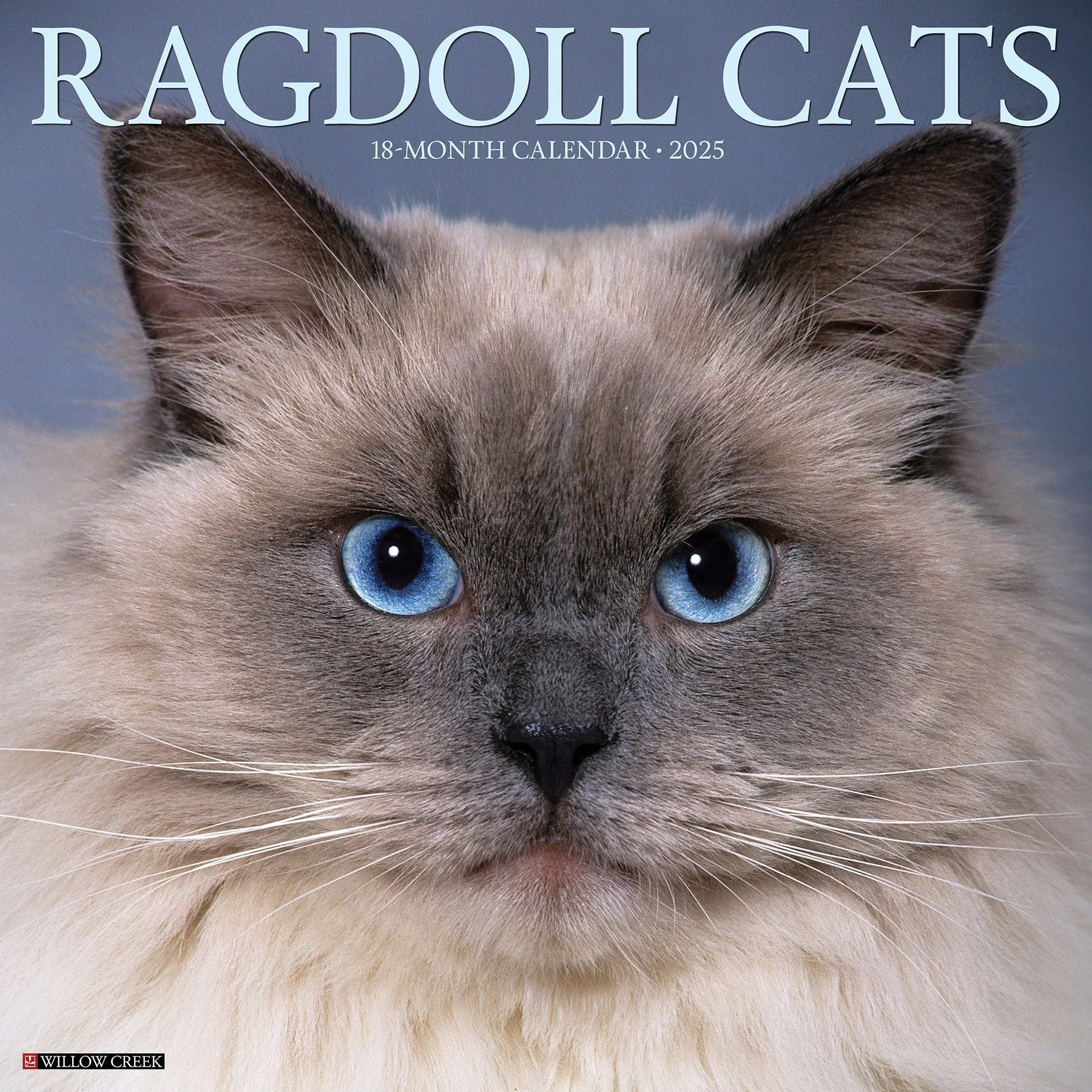 Ragdoll Cats 2025 Wall Calendar