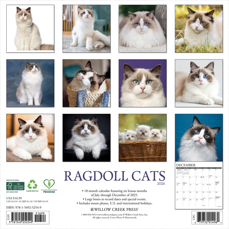 Ragdoll Cats 2026 Wall Calendar