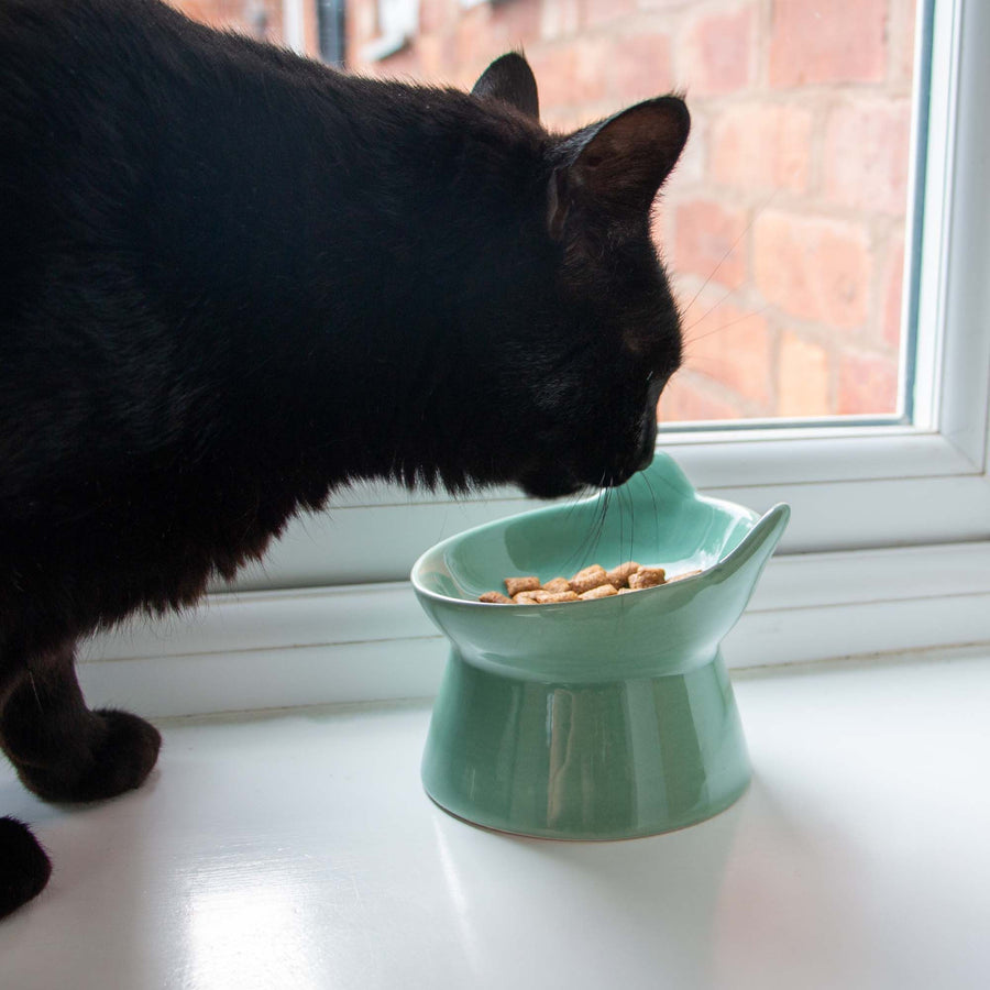Raised Ceramic Cat Feeder