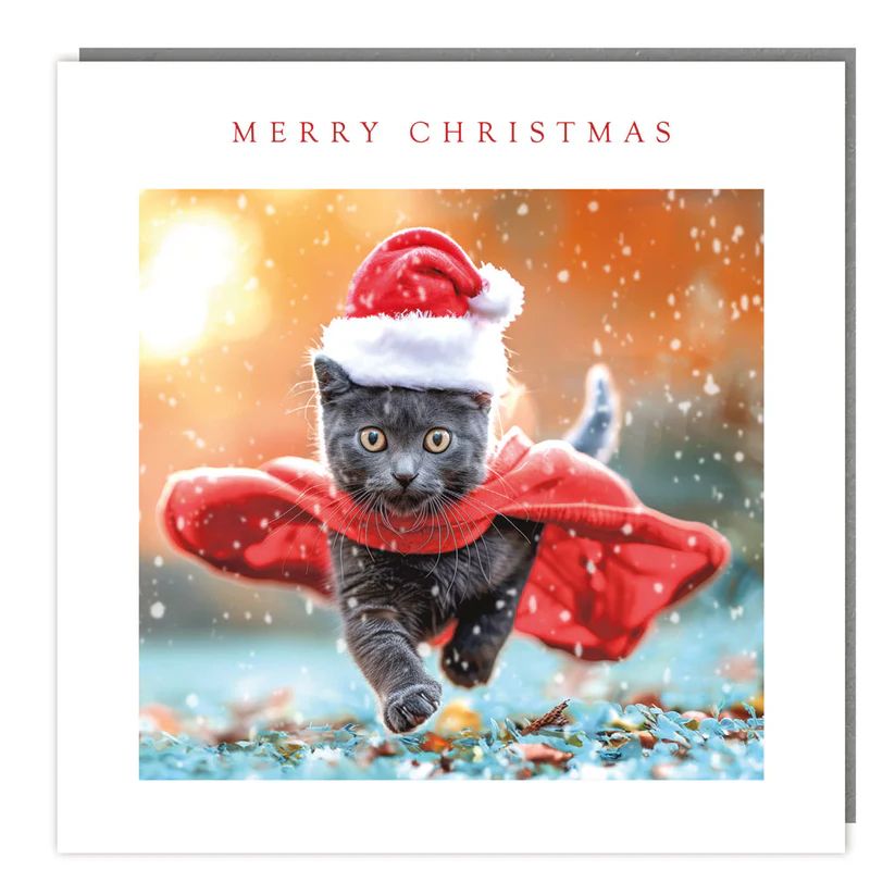 Red Caped Kitty Charity Card Pack