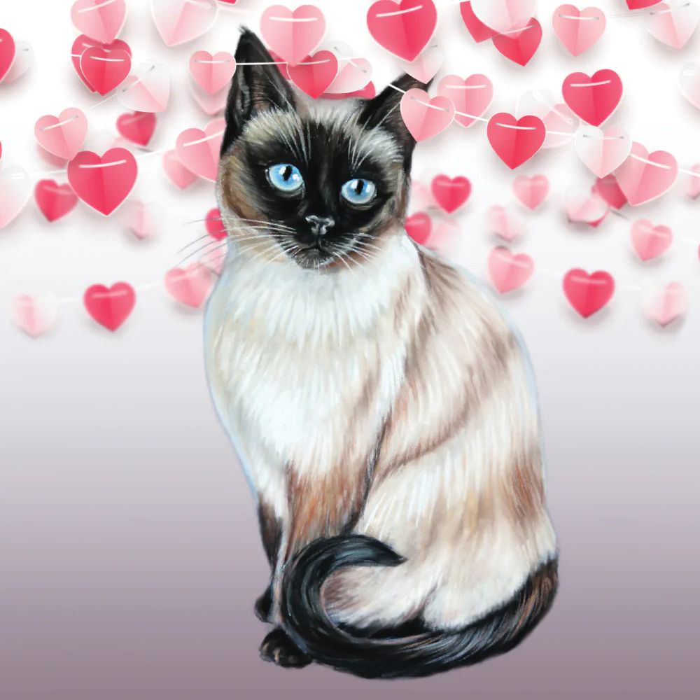 Siamese Cat Valentines Art Greetings Card, The Cat Gallery