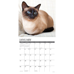 Siamese Cats 2025 Wall Calendar