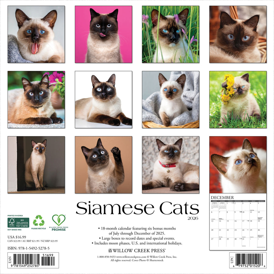 Siamese Cats 2026 Wall Calendar