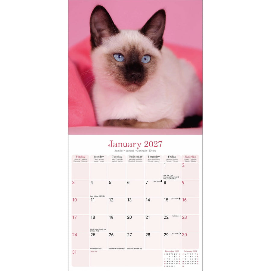 Calendar for January 2027 featuring a Siamese cat on a pink background with space to note daily engagements
