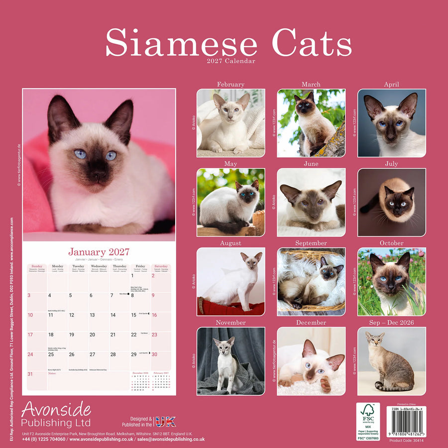 Calendar cover for Siamese Cats featuring images of various Siamese cats on a pink background.