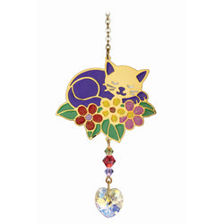 Sleeping Cat Crystal Dream