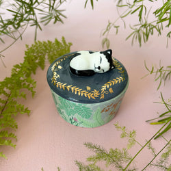 Decorative container with a cat design on top, surrounded by green leaves on a pink background
