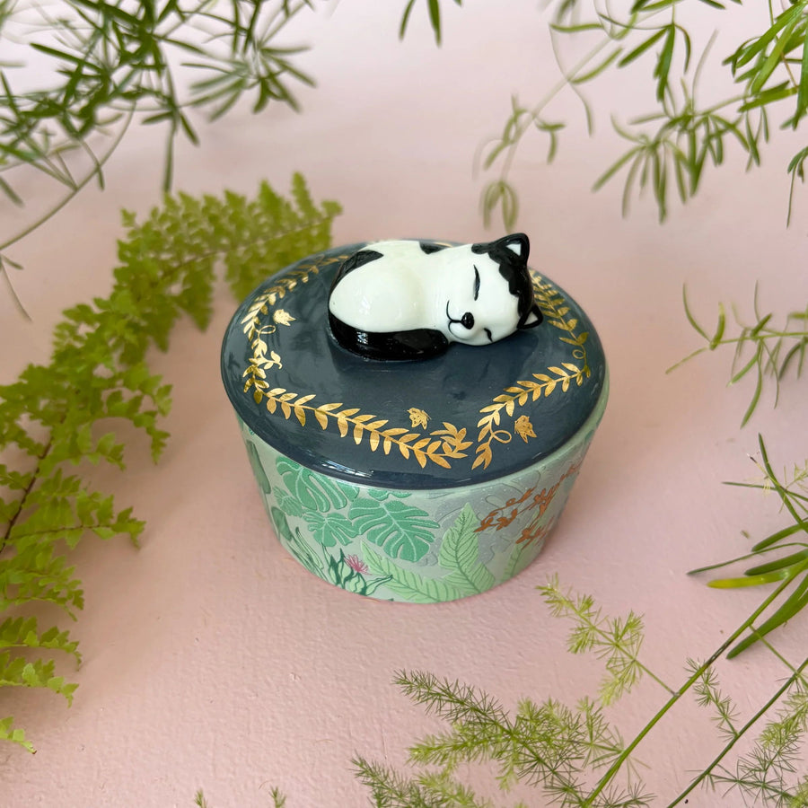 Decorative container with a cat design on top, surrounded by green leaves on a pink background