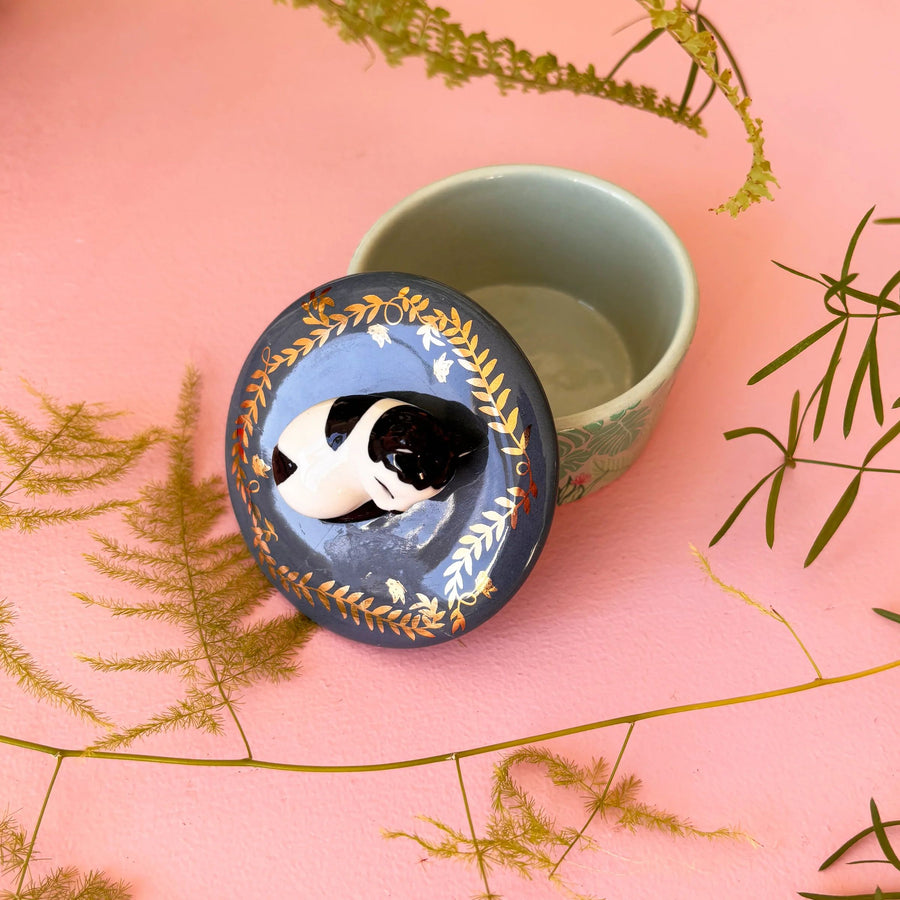 Decorative container with a 3d black and white cat on the lid on a pink background with green leaves