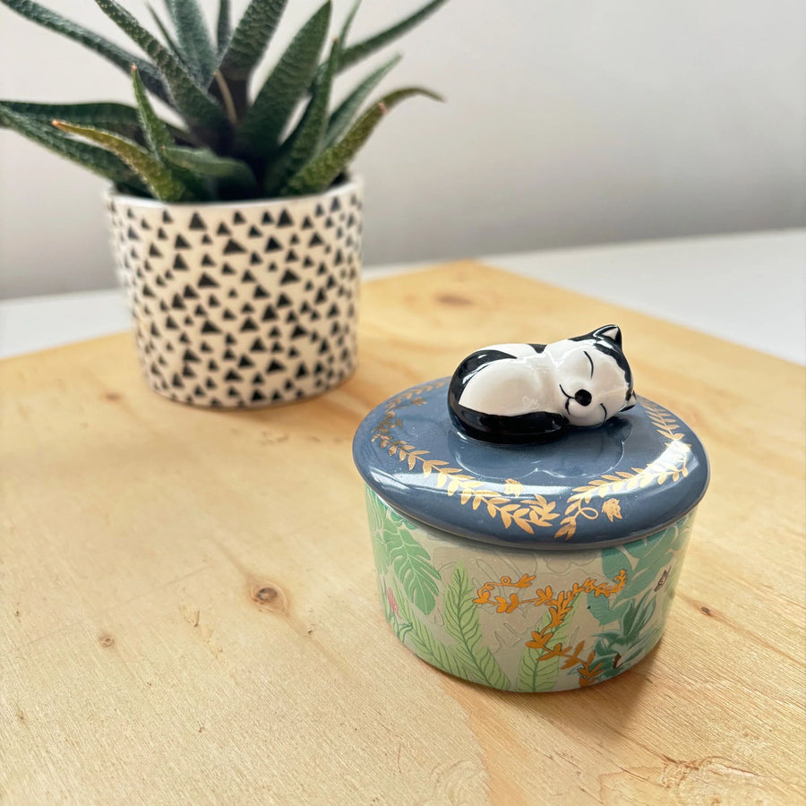 Decorative container with a cat design on top, placed on a wooden surface with a plant in the background.