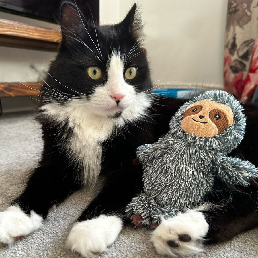 Samson Sloth Kicker Cat Toy