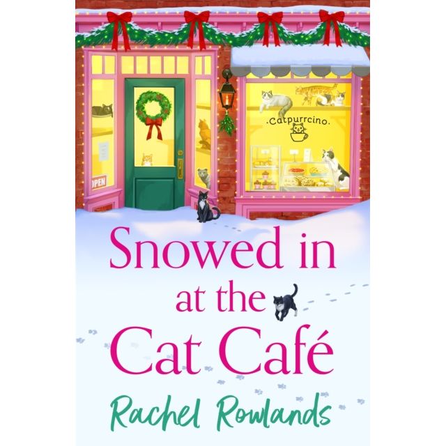 Snowed in at the Cat Cafe