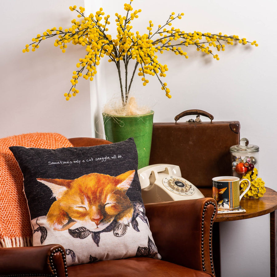 Cat Snuggle Cushion