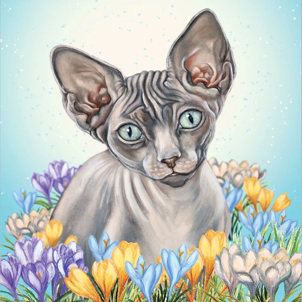 Sphynx Cat Art Greetings Card