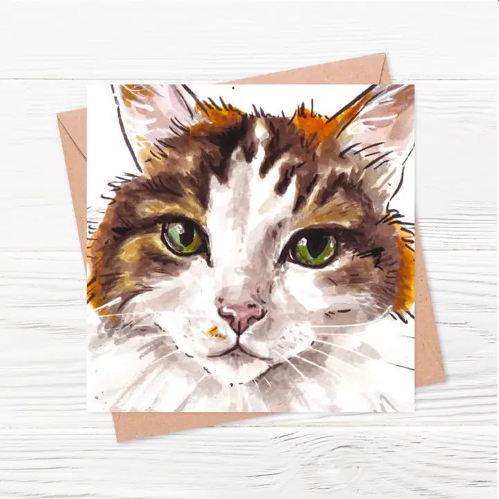Stormy the Calico Cat Greetings Card