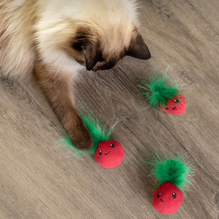 Strawbabies Dental Chew Cat Toy Trio