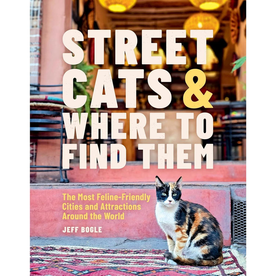 Street Cats and Where to Find Them