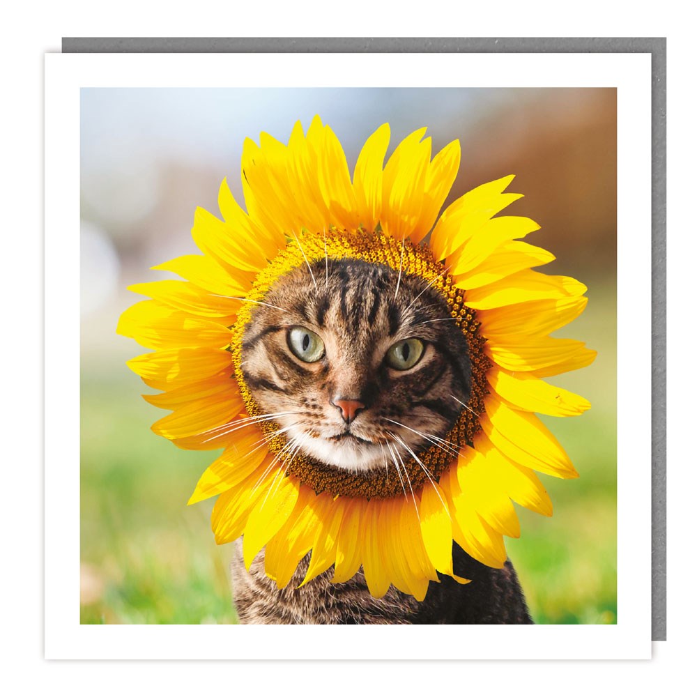 Sunflower Cat Photographic Card