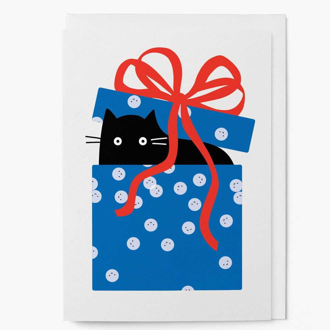 Surprise Cat Blue Box Graphic Card